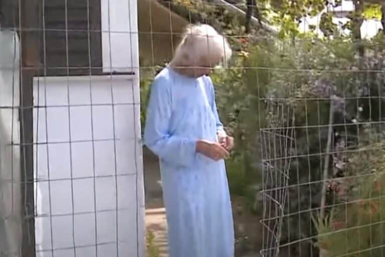 Άγρια ληστεία στην Αιτωλοακαρνανία: Ξυλοκόπησαν 85χρονη για 100 ευρώ – «Τους παρακαλούσα, μη με χτυπάτε άλλο» (βίντεο)