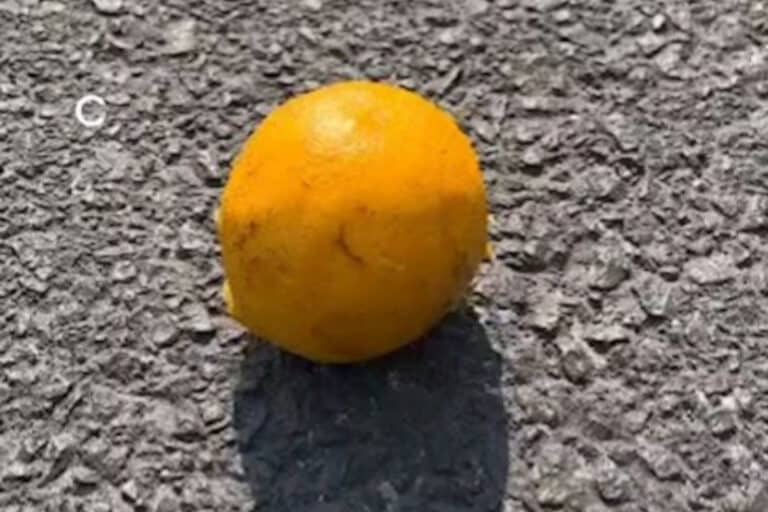 Αυτοκίνητο: Άγνωστοι βάζουν πορτοκάλια στους δρόμους – Γιατί δεν πρέπει να τα πατήσετε (βίντεο)