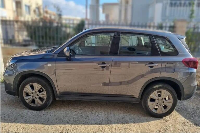 Αστυνομικοί τσάκωσαν τρεις αλλοδαπούς διακινητές μεταναστών σε Ροδόπη και Έβρο