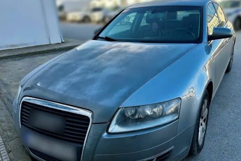 Συνελήφθησαν έξι διακινητές που μετέφεραν 26 μετανάστες σε Έβρο και Ροδόποι