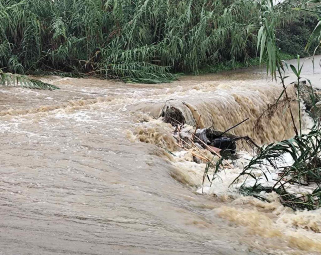 kakokairia 4 e1762597832254 1024x812 1