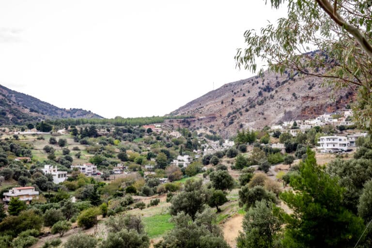 Βορίζια: Όταν το 2001 πυροβόλησαν και τραυμάτισαν αστυνομικούς – Το αιματηρό επεισόδιο που είχε προβληματίσει ξανά την ΕΛ.ΑΣ.