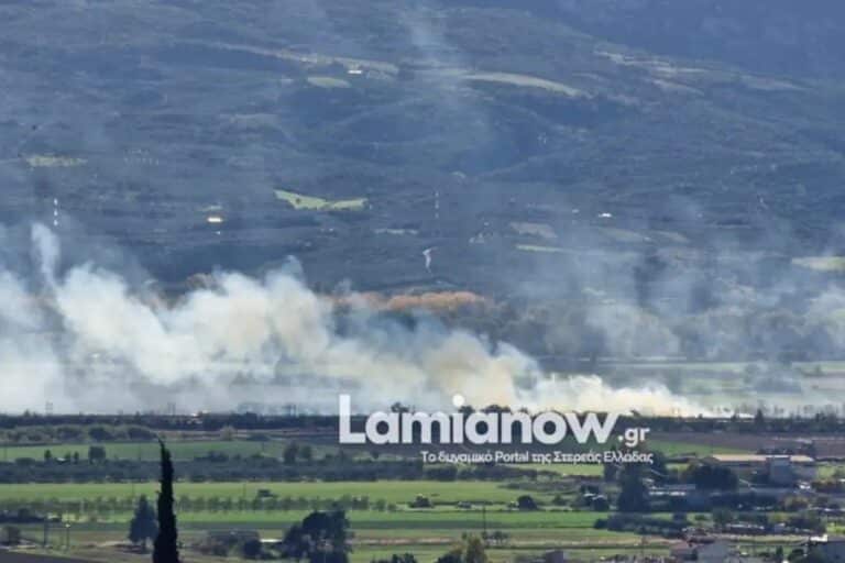 Λαμία: Διακόπηκε η κυκλοφορία στον Ε65 εξαιτίας φωτιάς που προκάλεσε τροχαίο – Τούμπαρε αυτοκίνητο (βίντεο)