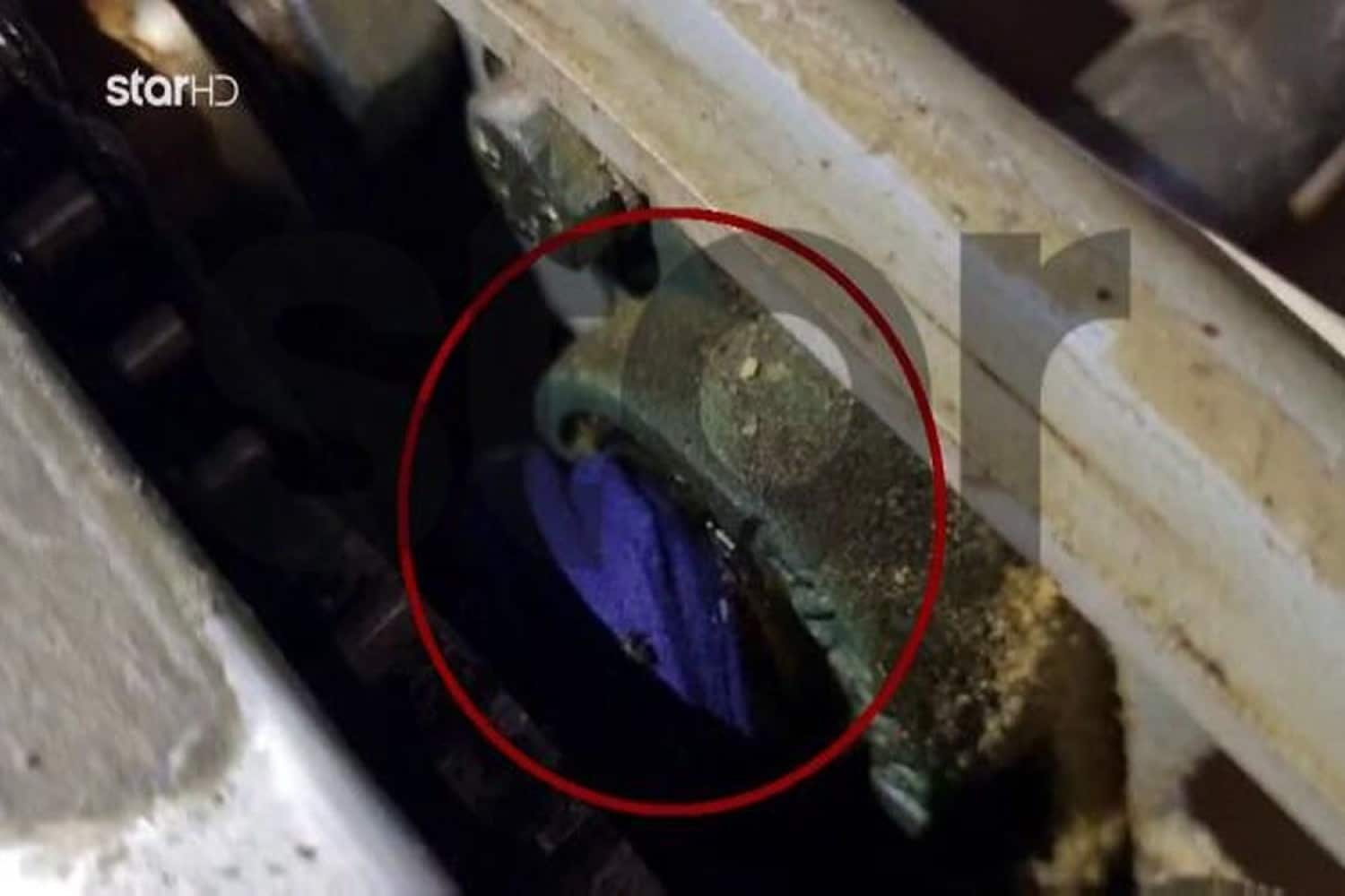 larisa fournos 14 11 2025