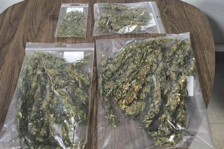 Κεντρική Μακεδονία: Στοχευμένες δράσεις της ΕΛ.ΑΣ για τα ναρκωτικά – Συνελήφθησαν πέντε άτομα, ανήλικος ο ένας