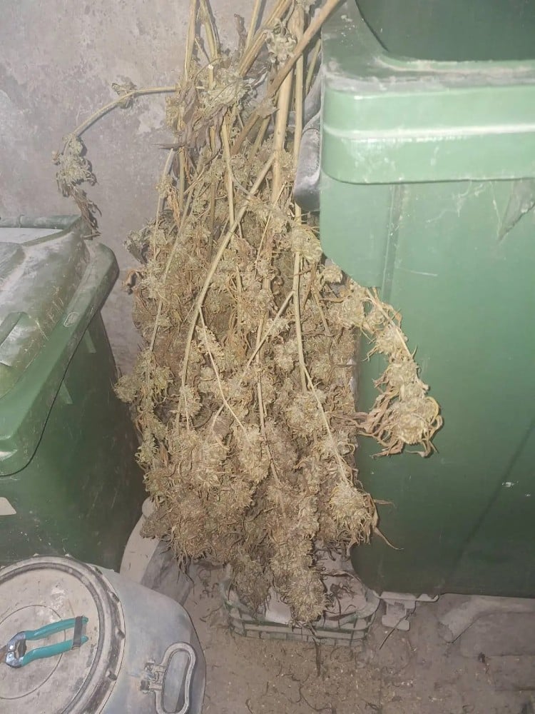 narkotika rodos 28 11 2025 2