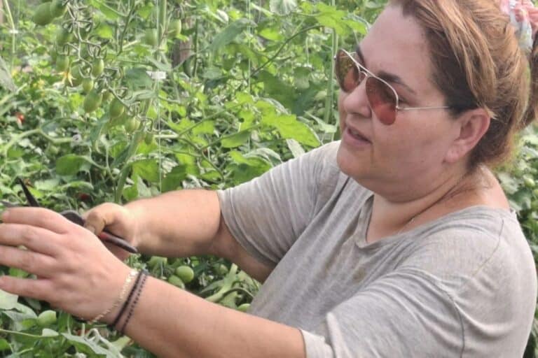 Κρήτη: Άγνωστοι έκλεψαν τη σοδειά νεαρής παραγωγού – «Προσπαθώ μόνη από το πρωί μέχρι το βράδυ να έχω ένα περιβόλι νοικοκυρεμένο»