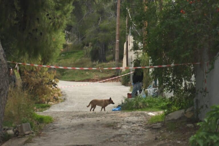 Σαλαμίνα: Η 46χρονη «πείραξε» τις κάμερες, έβαλε κουκούλα και δολοφόνησε την πεθερά της – «Ήθελα μόνο τα χρήματα», είπε στους αστυνομικούς