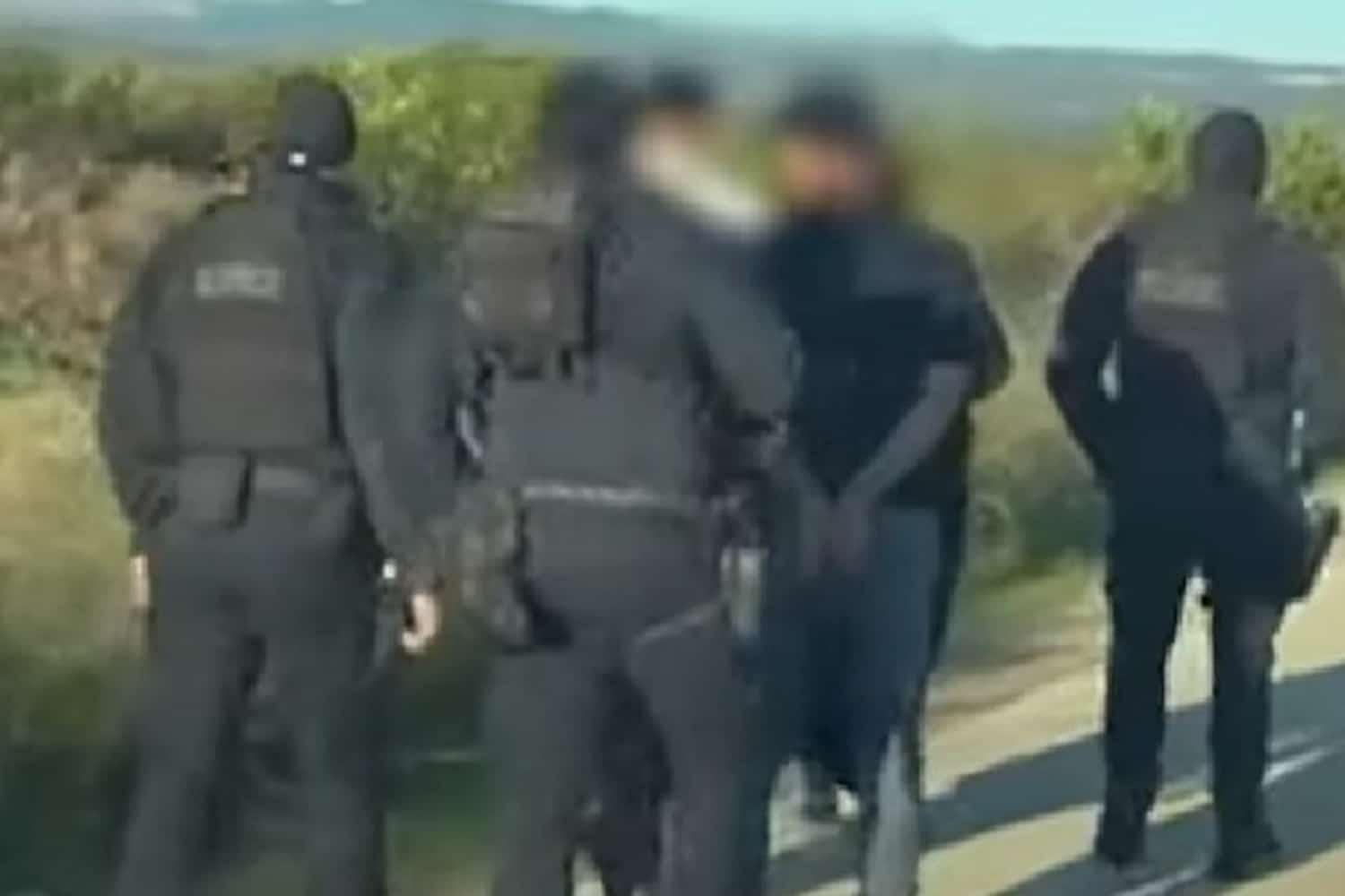 sillipseis roma 14 11