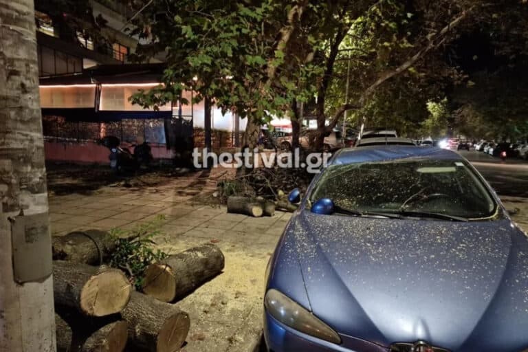 Θεσσαλονίκη: Δέντρο έπεσε πάνω σε σταθμευμένα αυτοκίνητα στην Τούμπα (εικόνες – βίντεο)