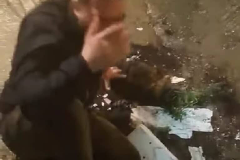 Θεσσαλονίκη: Βίντεο από τη στιγμή που διαρρήκτες σφαδάζουν – Πήδηξαν από μπαλκόνι και έσπασαν τα πόδια τους (βίντεο)