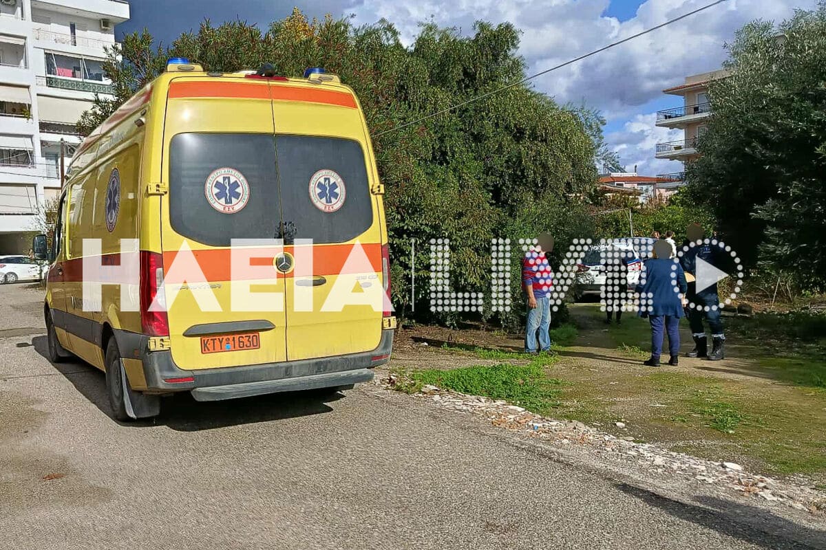 troxaio auli pirgos 3