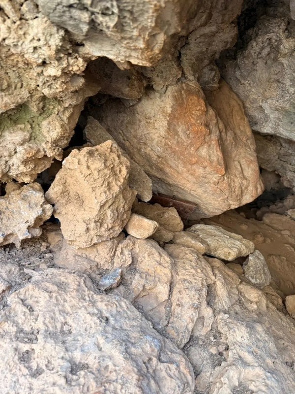 vorizia spilia 5 11 2025 4