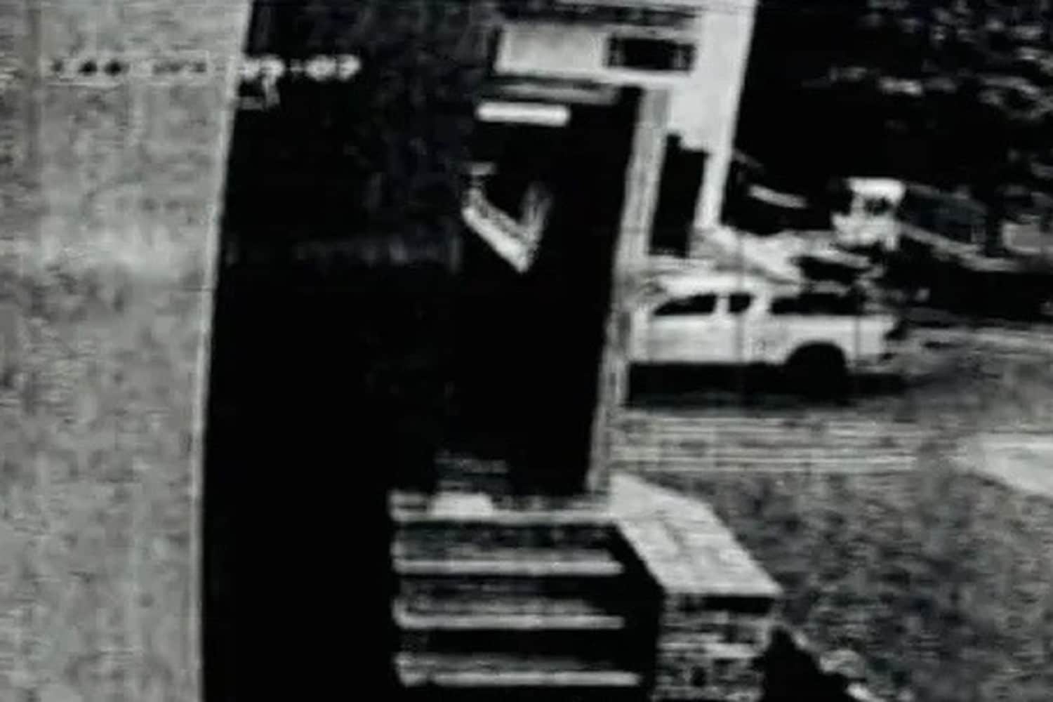 vorizia van 11 11 2025