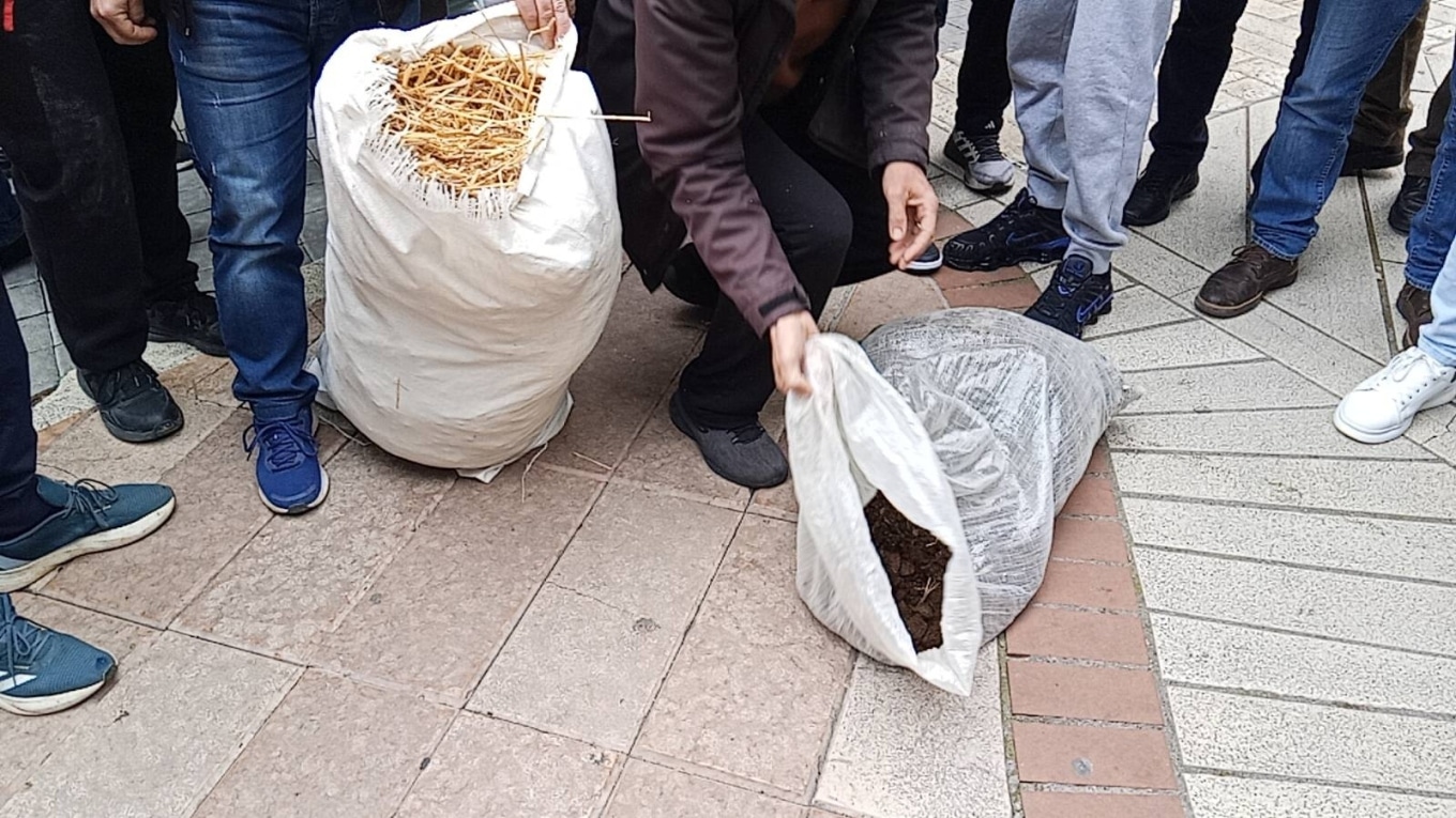 agrinio agrotes 30 12