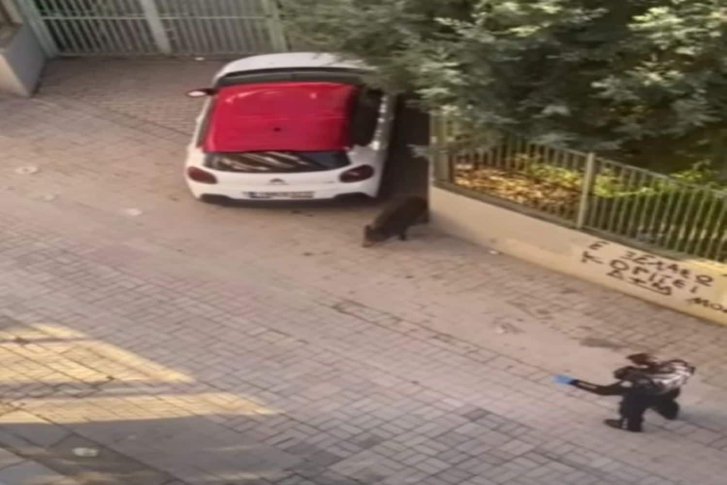 agriogourouno astinomikoi thessaloniki 14 12 1