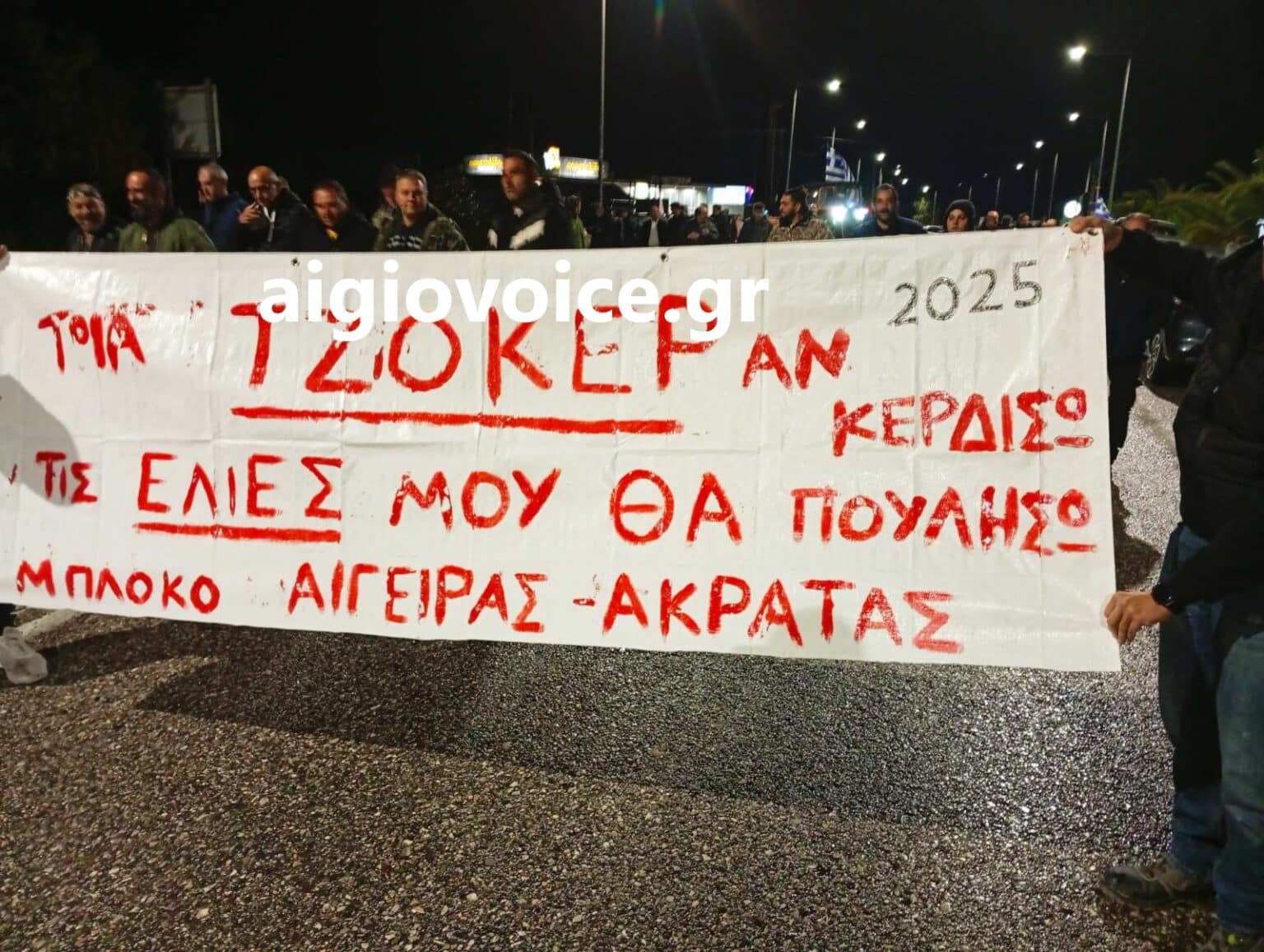 agrotes 1 2 1536x1157 1