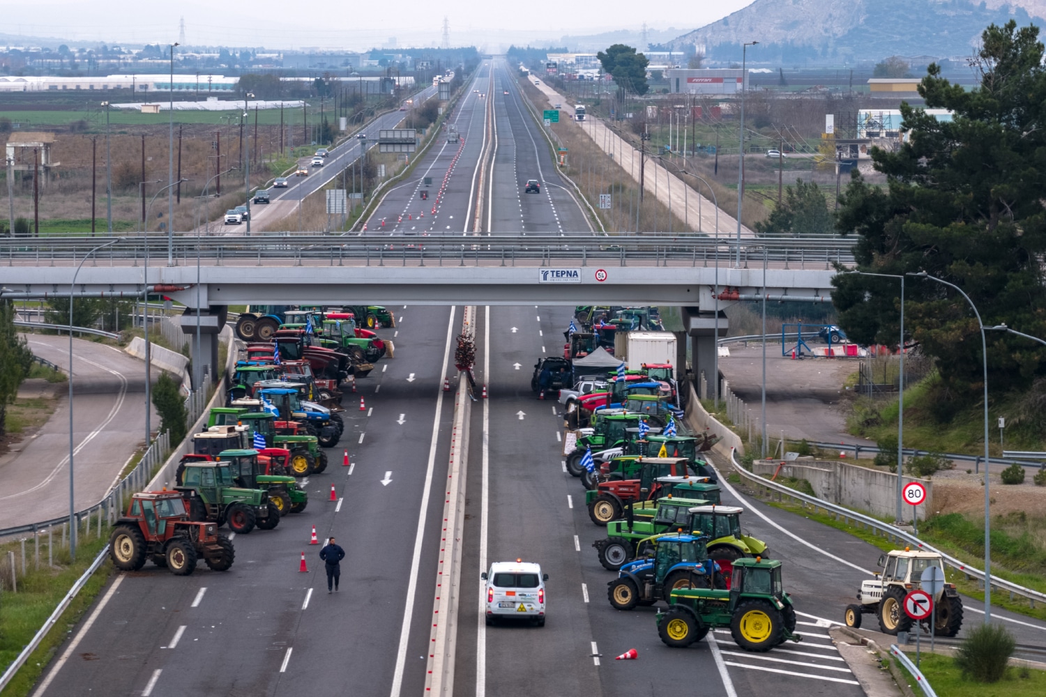 agrotes 23 12 dimoglidou