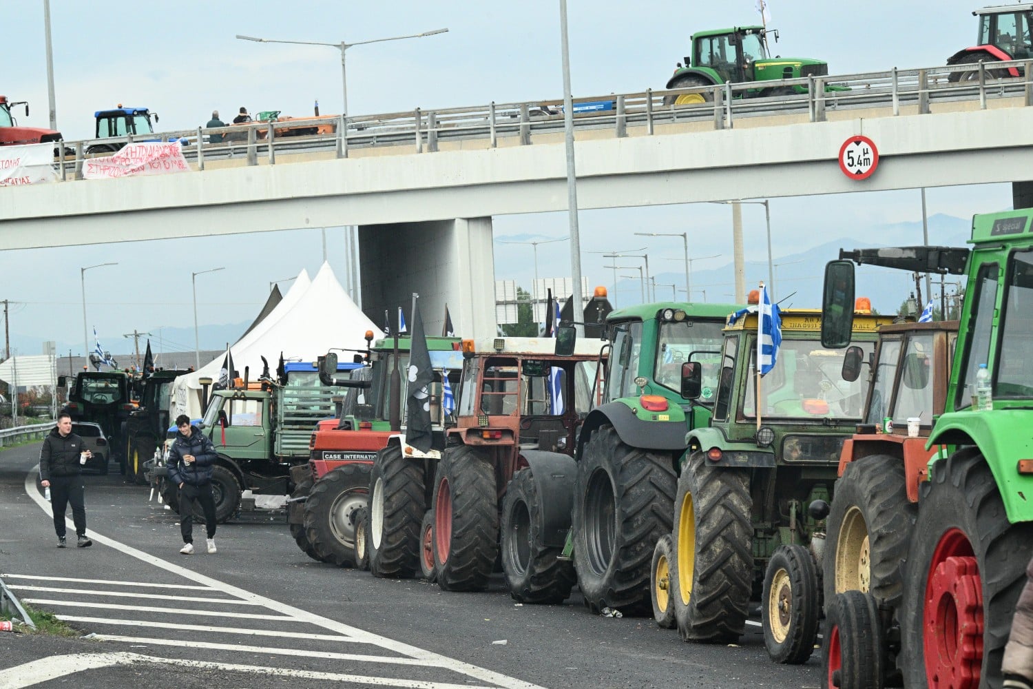 agrotes larisa 7 12 2025