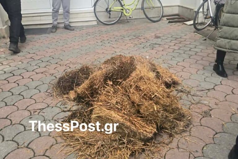 Τρίκαλα: Αγρότες πέταξαν σανό στα γραφεία βουλευτών της ΝΔ (βίντεο)