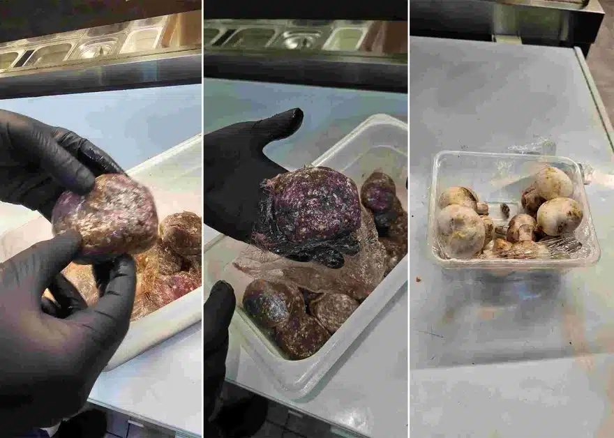 akatallila trofima 30 12 4