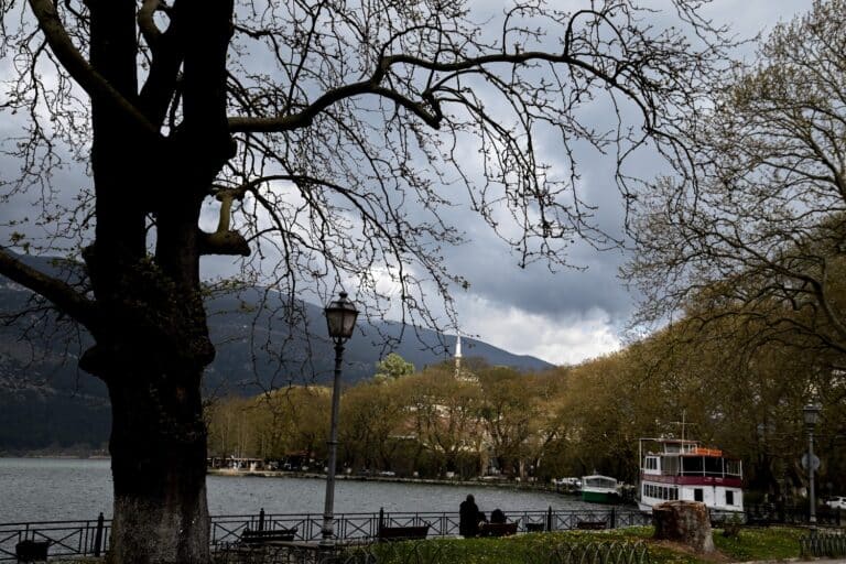 Ιωάννινα: Συνελήφθη άνδρας που «άρπαξε» τσάντα από αυτοκίνητο