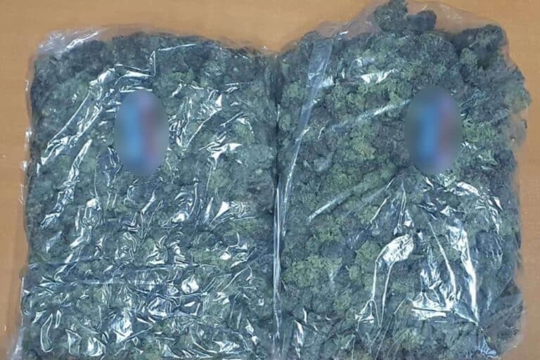 Βούλα: Αστυνομικοί τσάκωσαν 24χρονο διακινητή ναρκωτικών με 69 κιλά κάνναβης (εικόνες)