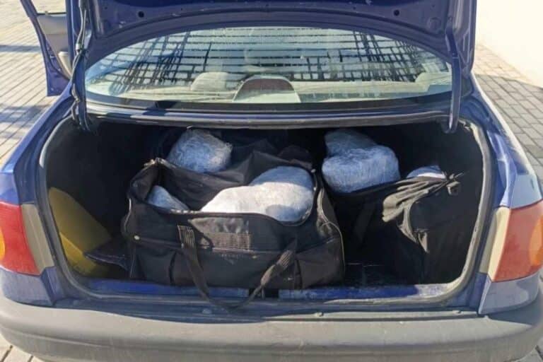 Καστοριά: Εξαρθρώθηκε σπείρα διακίνησης ναρκωτικών – Μετέφεραν σε βαλίτσες πάνω από 28 κιλά κάνναβης, τρεις συλλήψεις