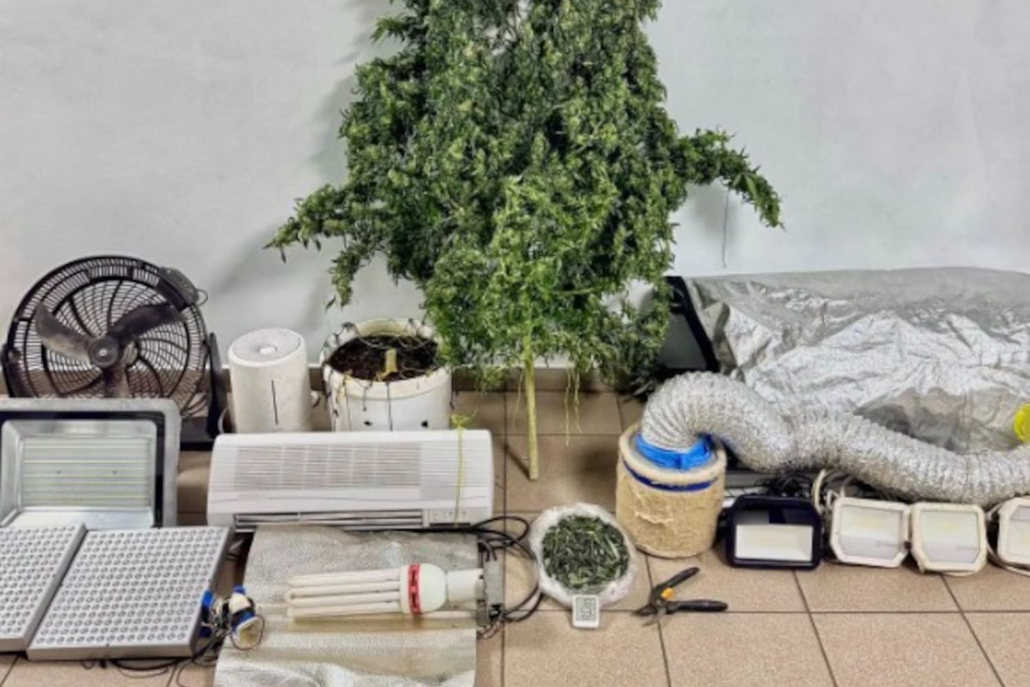 narkotika mitilini 14 12