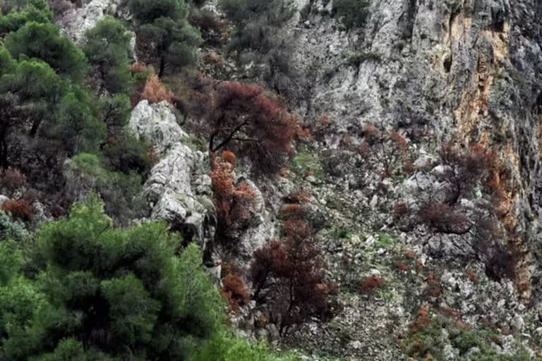 Σίκινος: Εντοπίστηκε ανθρώπινος σκελετός μίας εκ των δύο Γαλλίδων που αγνοούνταν από το καλοκαίρι του 2024