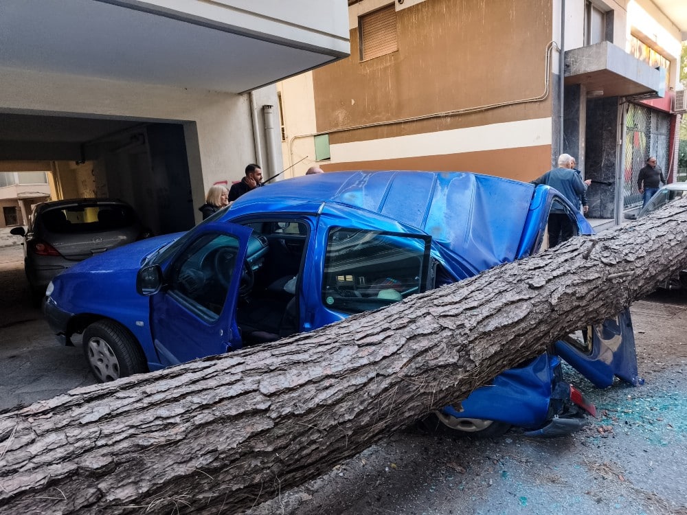 thessaloniki dentro 9 12 2025 2