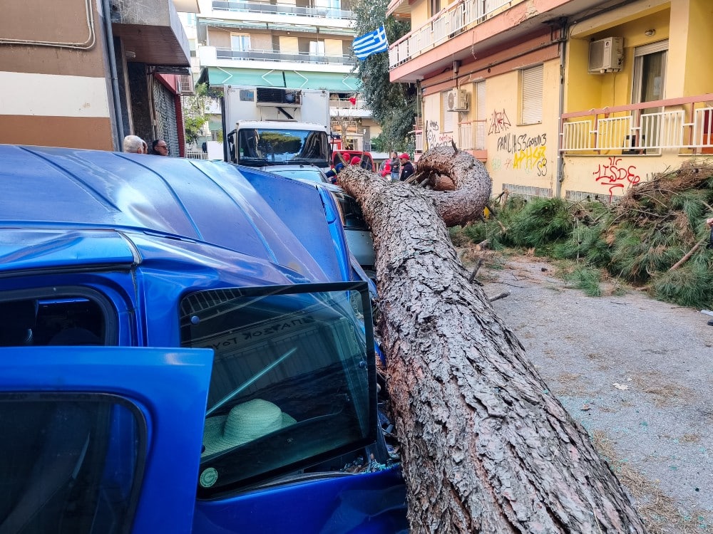 thessaloniki dentro 9 12 2025 3