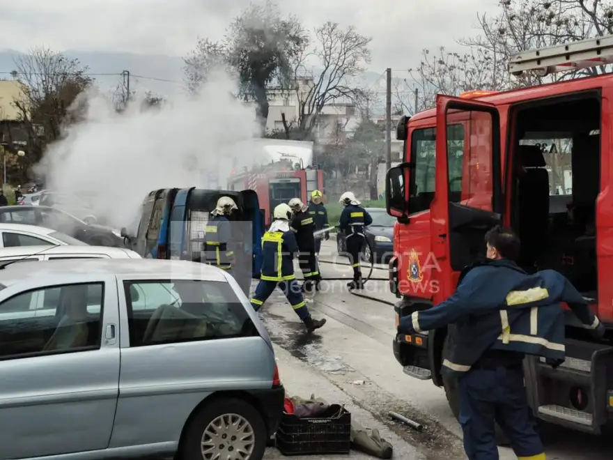 volosaytokinhto 13 12 2