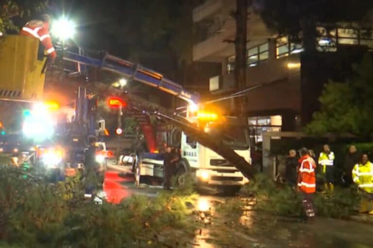 Κακοκαιρία: Έπεσε δέντρο στο Χαλάνδρι – Από θαύμα δεν τραυματίστηκε κάποιος, ο κορμός του βρήκε αντίσταση σε καλώδια τρόλεϊ