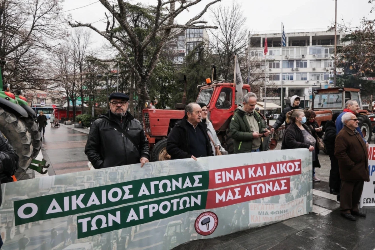 agrotes larisa 23 1 2