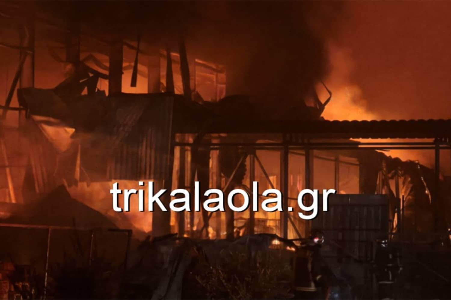 fotia trikala 26 1 2026 2