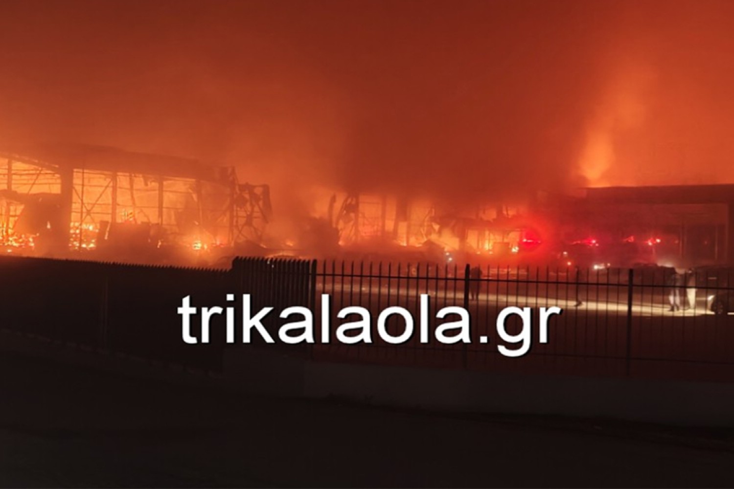 fotia trikala 26 1 2026 4