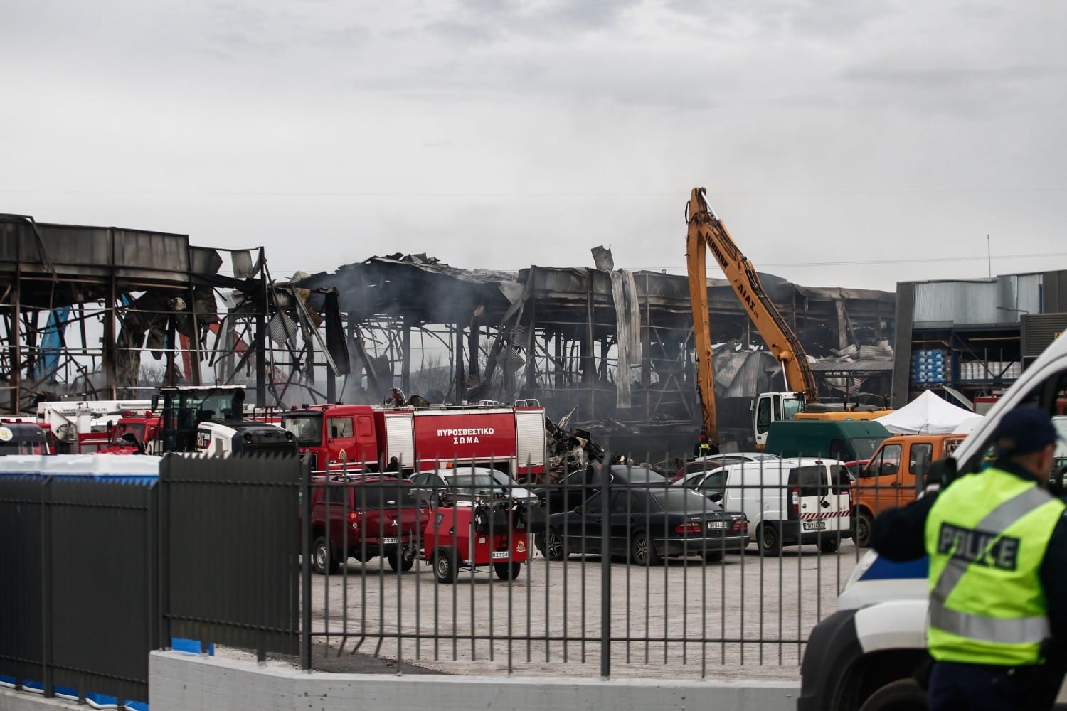 fotia trikala 27 1 2026