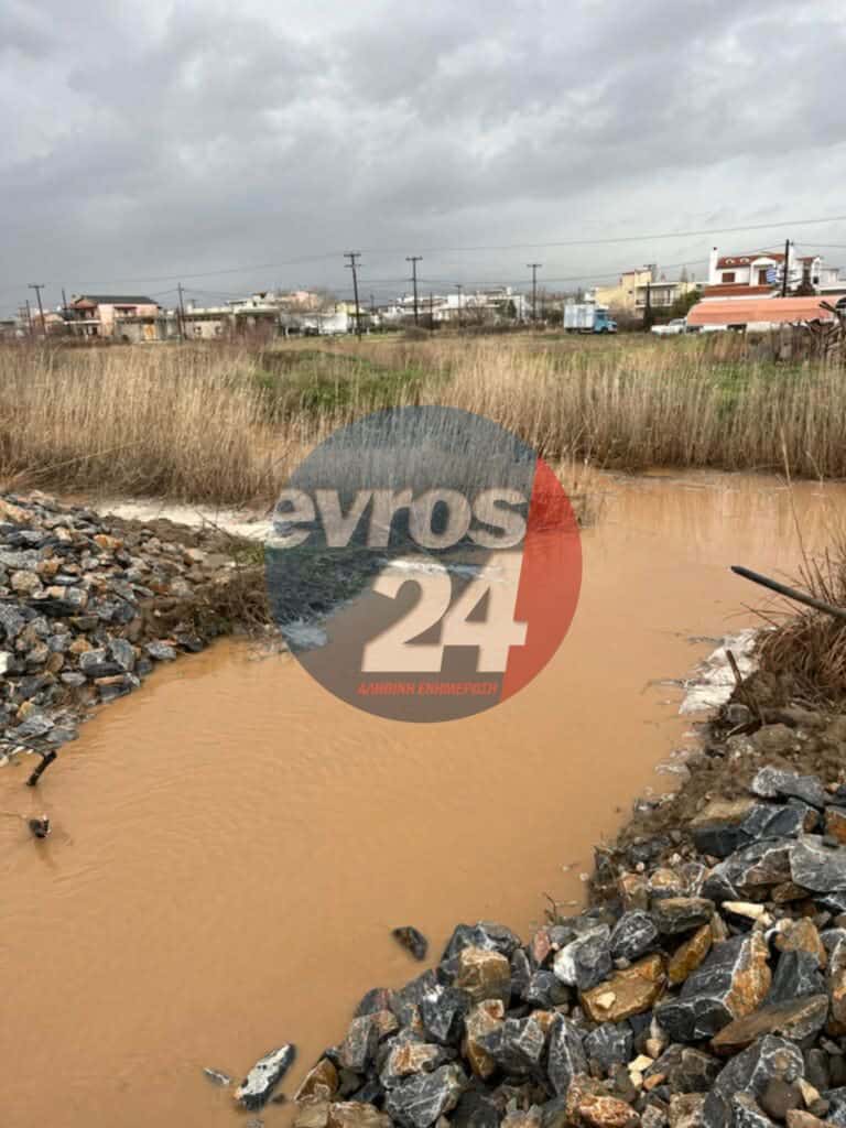 grami apalos2 768x1024 1