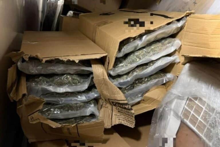 Πάτρα: Πάνω από 155 κιλά ναρκωτικών κατασχέθηκαν στο λιμάνι – Συνελήφθη 41χρονος στο Χαϊδάρι