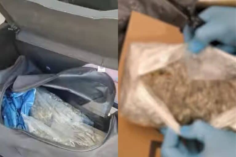 Ζωγράφου: Βίντεο από τα ναρκωτικά που κατασχέθηκαν στην Πανεπιστημιούπολη – Πώς «ξεσκεπάστηκε» η εγκληματική οργάνωση