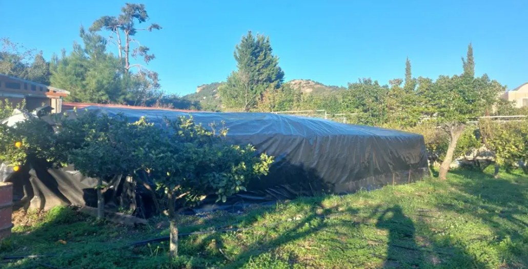 narkotika3 rodos 15 1