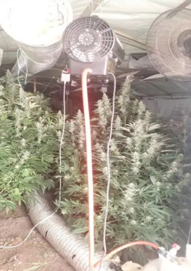 narkotika4 rodos 15 1