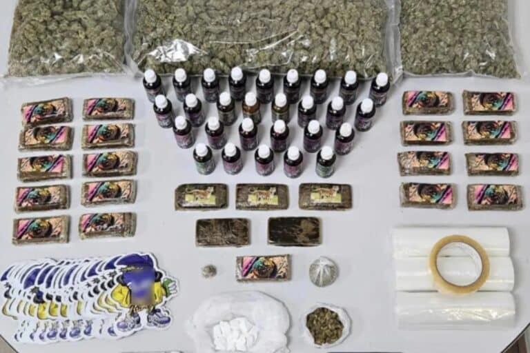 Θεσσαλονίκη: Το «ελληνικό FBI» συνέλαβε 21χρονο με πάνω από 6 κιλά κάνναβης και κοκαΐνη (εικόνες & βίντεο)