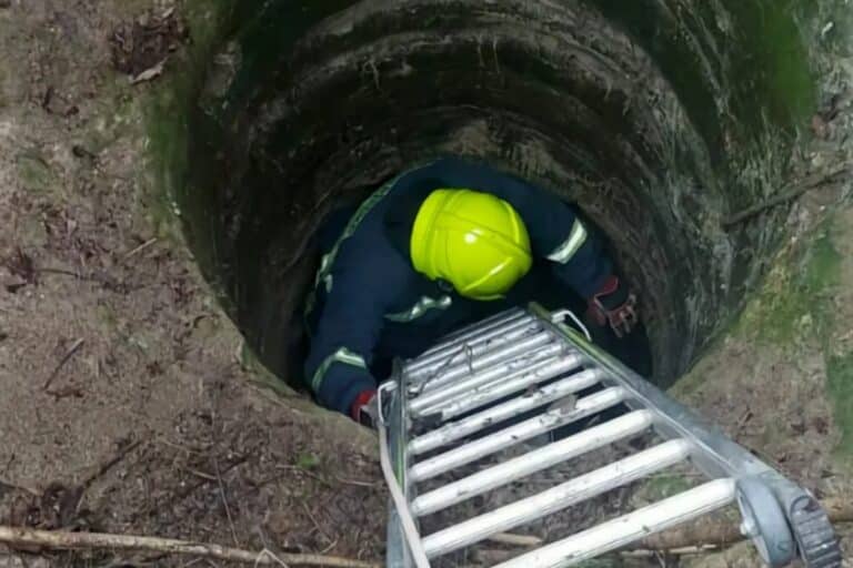 Λάρισα: Πυροσβέστες έσωσαν σκύλο που έπεσε σε πηγάδι βάθους επτά μέτρων