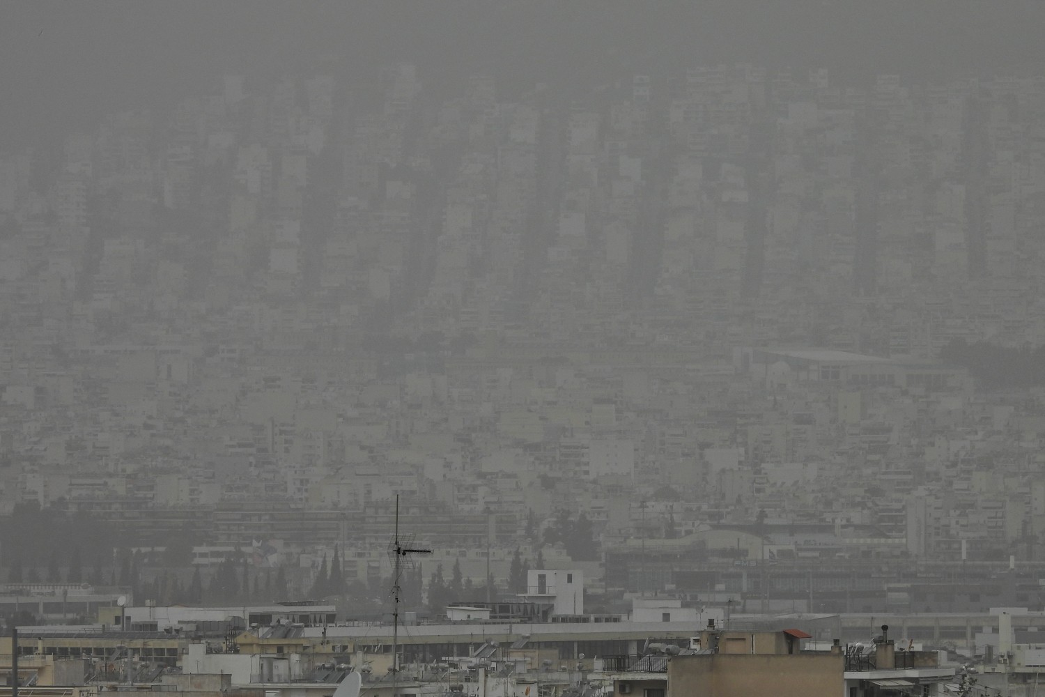 afrikaniki skoni athina 15 2 2026 3