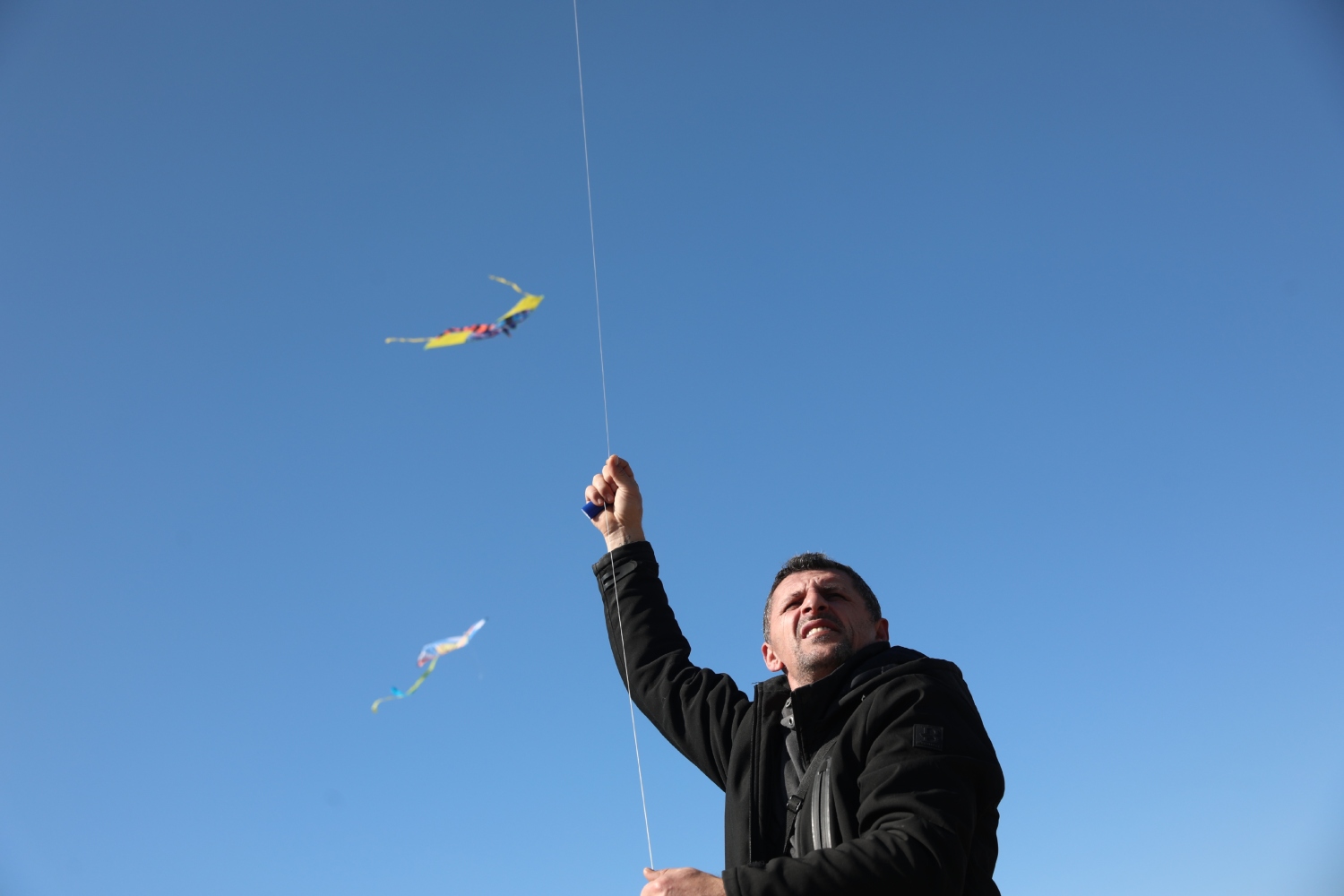 kathara deytera 23 2 3