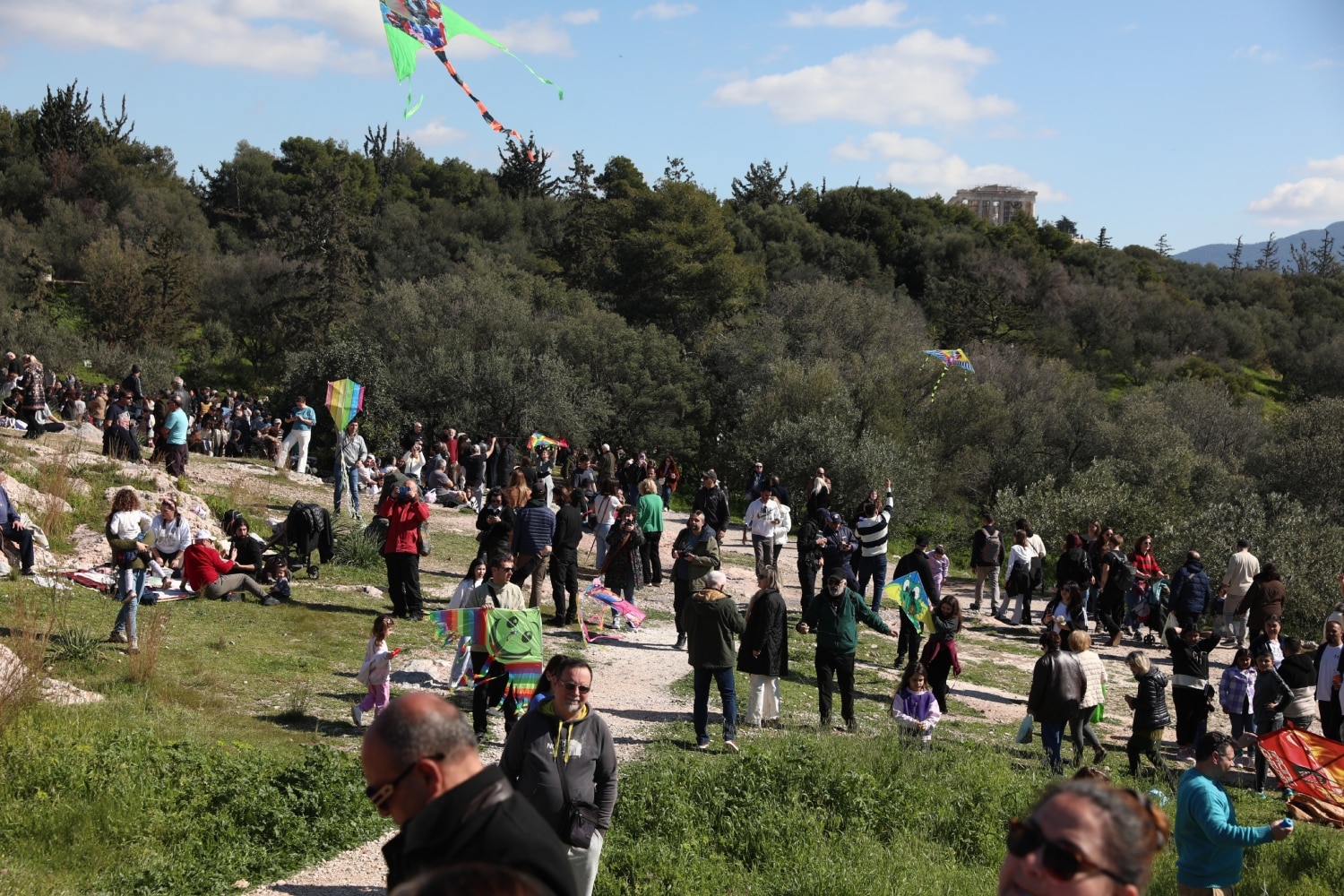 kathara deytera 23 2 4