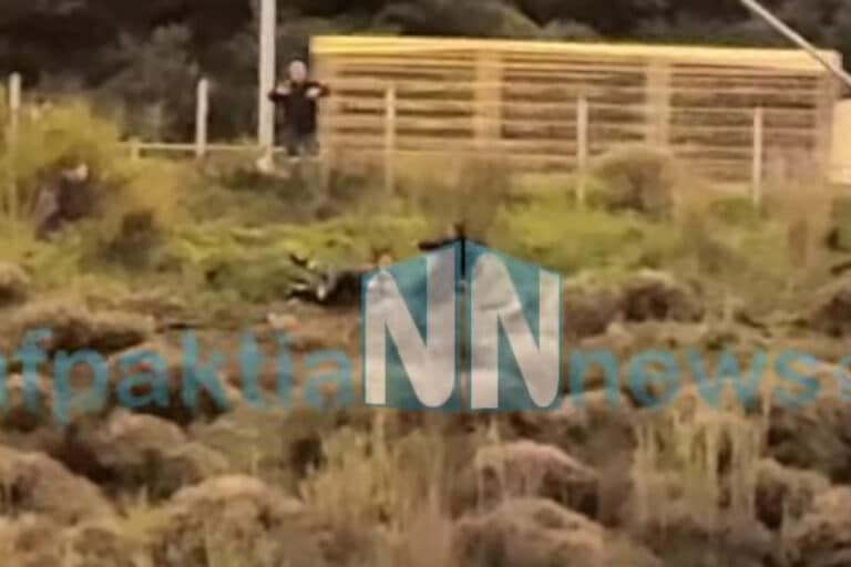 Ναυπακτία: Άνδρας απειλούσε να πηδήξει από γέφυρα – Τραυματίστηκε στην προσπάθεια να ξεφύγει από πυροσβέστες (βίντεο)