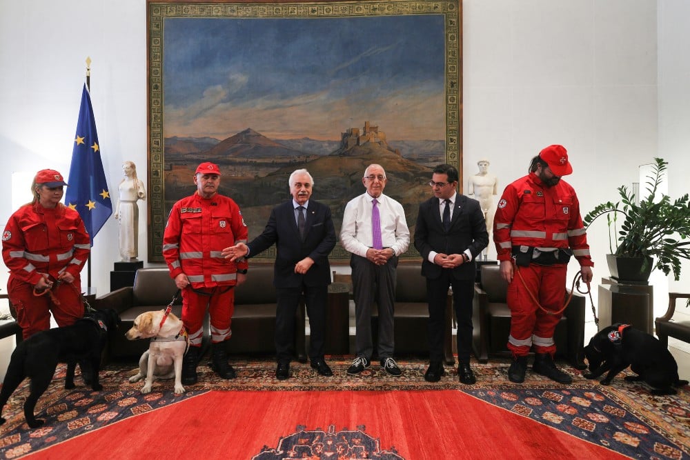 skyloi vouli 25 2 2026 2